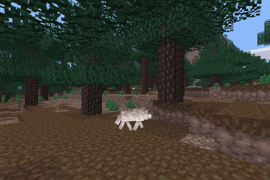Just a wolf minding its own business in a taiga