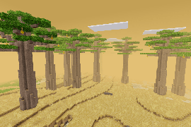 baobab savanna