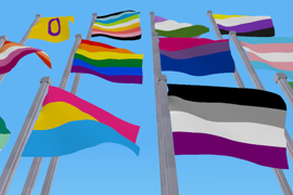 Pride flags: Intersex, queer, genderqueer, enby, lesbian, LGBTQ+, bi, trans, vincian, pan, ace, aro