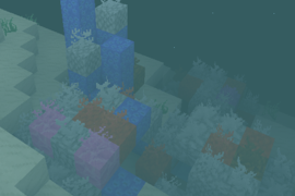 Screenshot of coral reefs by Eran
