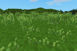 Lots of grass