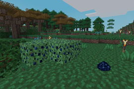 Version 0.0.3: blueberries and their bushes