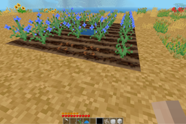 Flax Farming