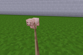 A pig on a lead