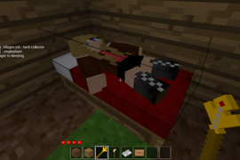 villager sleeping at night