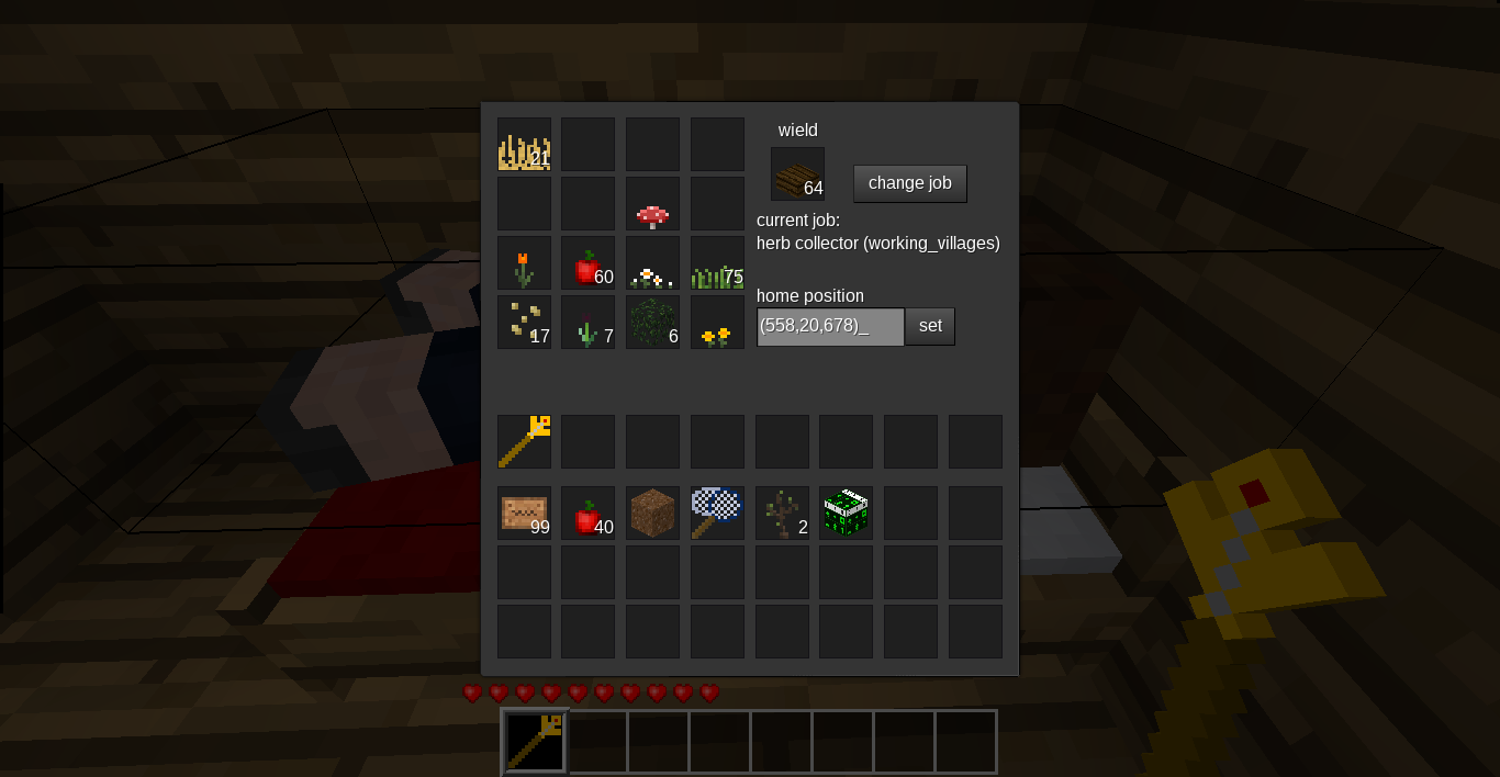 villagers inventory view