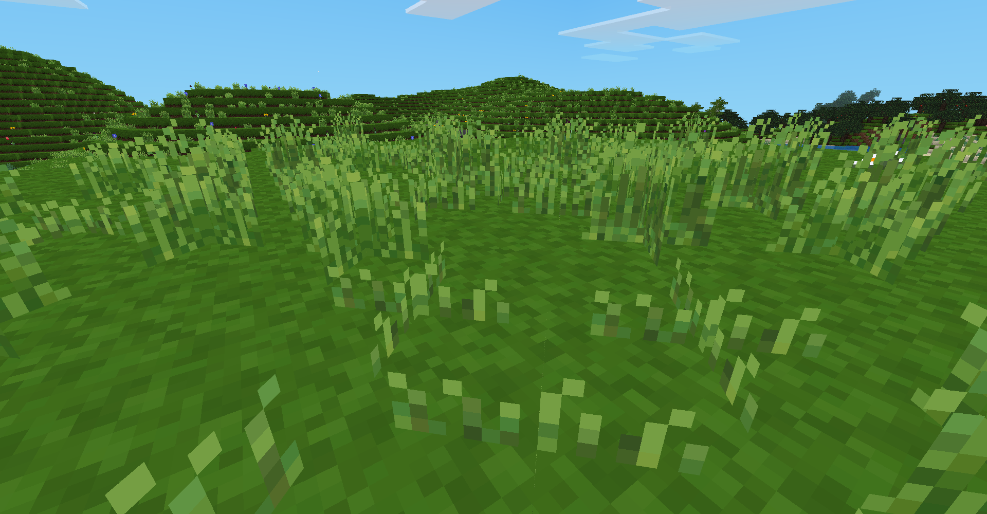 Lots of grass
