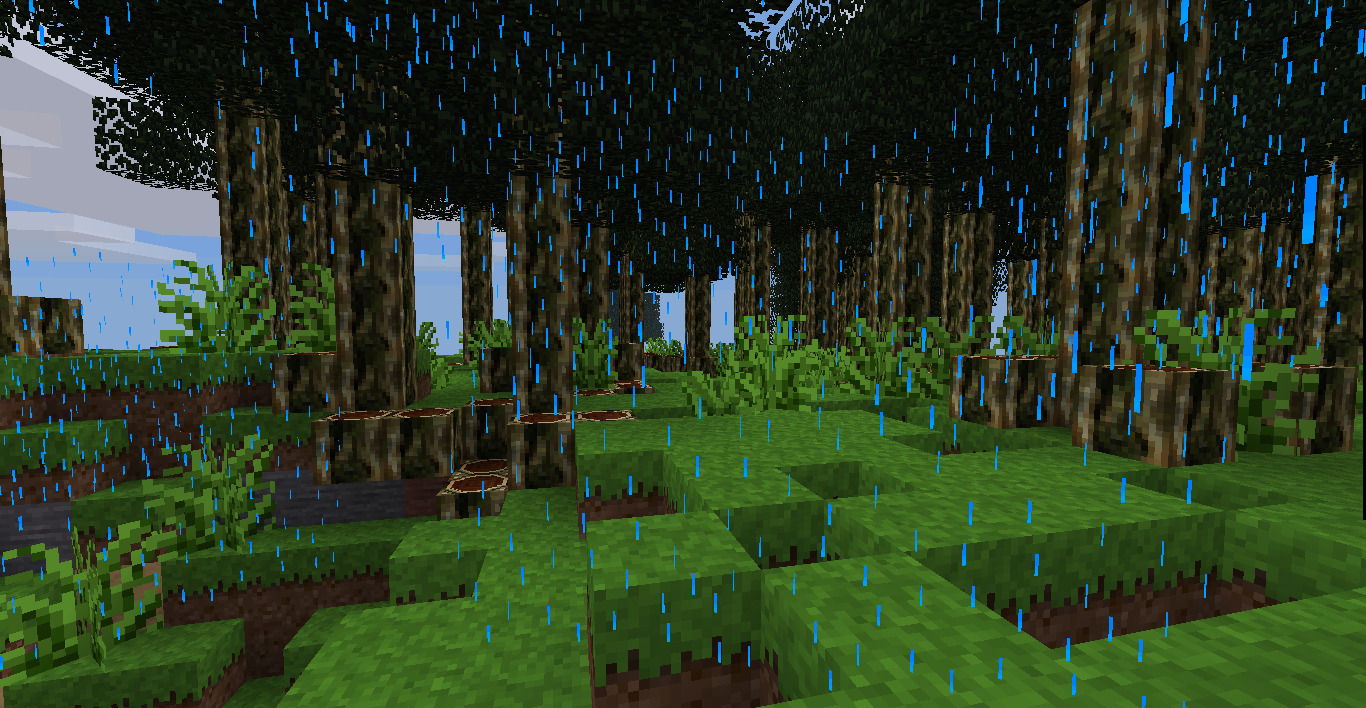 rain in a rainforest