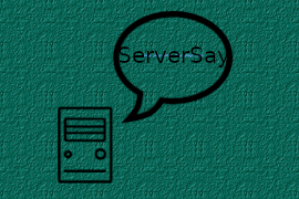 ServerSay