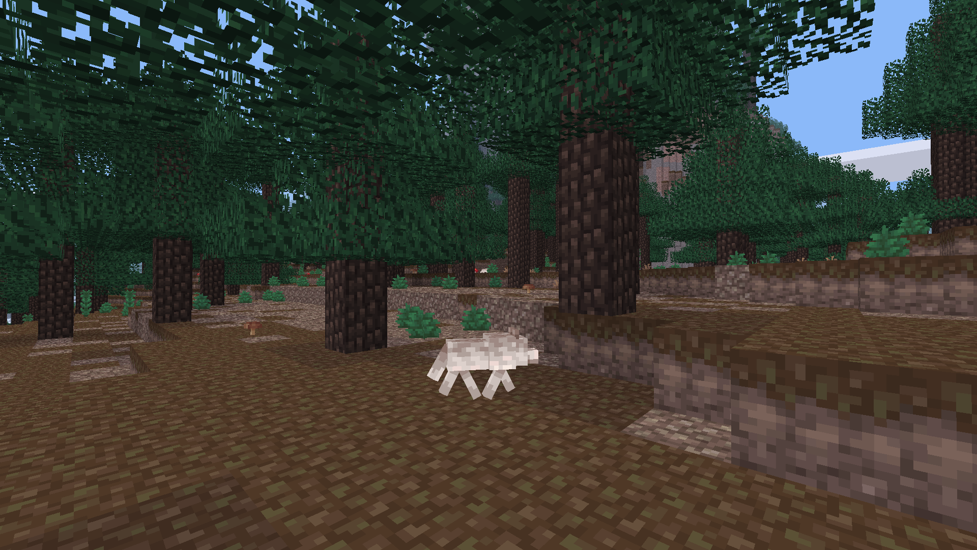 Just a wolf minding its own business in a taiga